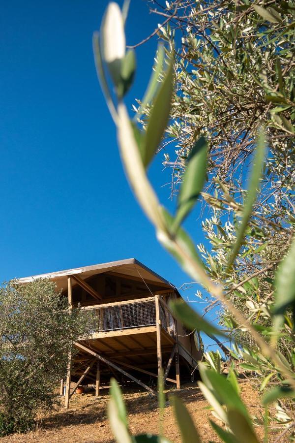 Glamping Podere San Jacopo Масса-Мариттіма Екстер'єр фото
